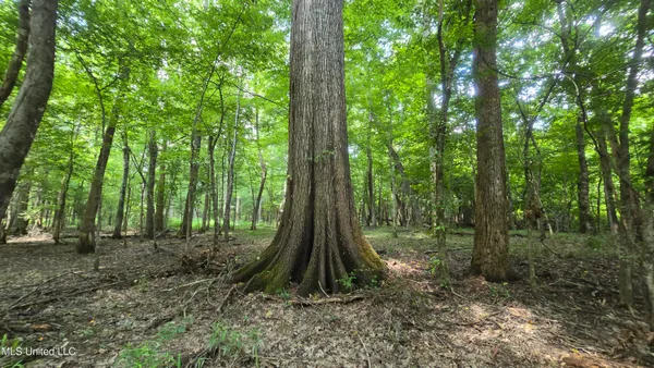 $199,000 | No No Ms-407, French Camp, MS 39745