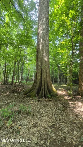 $199,000 | No No Ms-407, French Camp, MS 39745