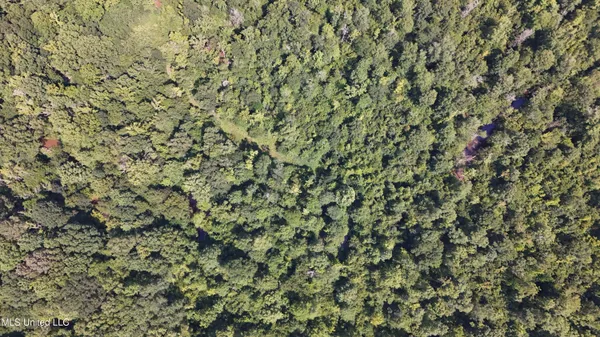 $199,000 | No No Ms-407, French Camp, MS 39745