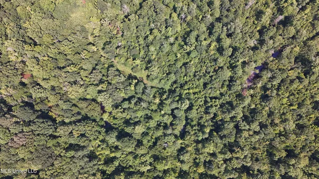 $199,000 | No No Ms-407, French Camp, MS 39745