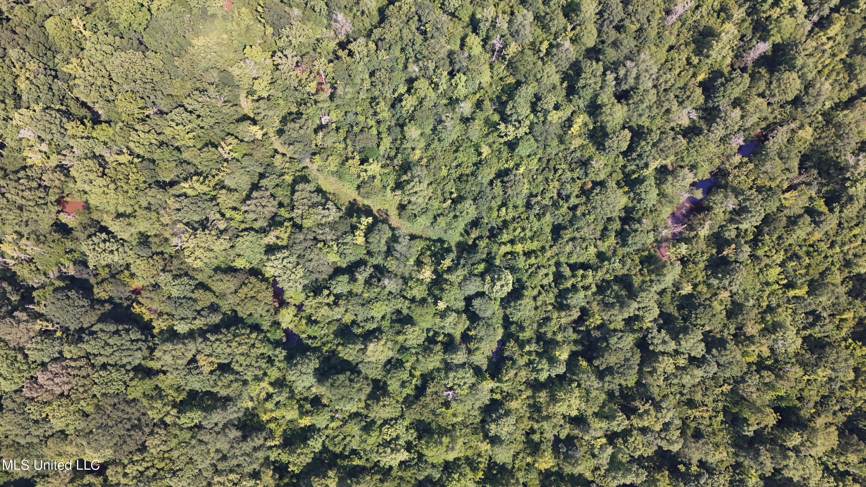 No No Ms-407 French Camp, MS 39745 - Photo 17 of 36 DJI_20250624160200_0784_D