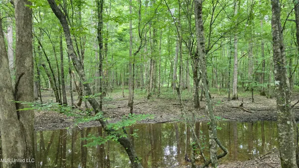 $199,000 | No No Ms-407, French Camp, MS 39745