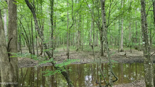 $199,000 | No No Ms-407, French Camp, MS 39745