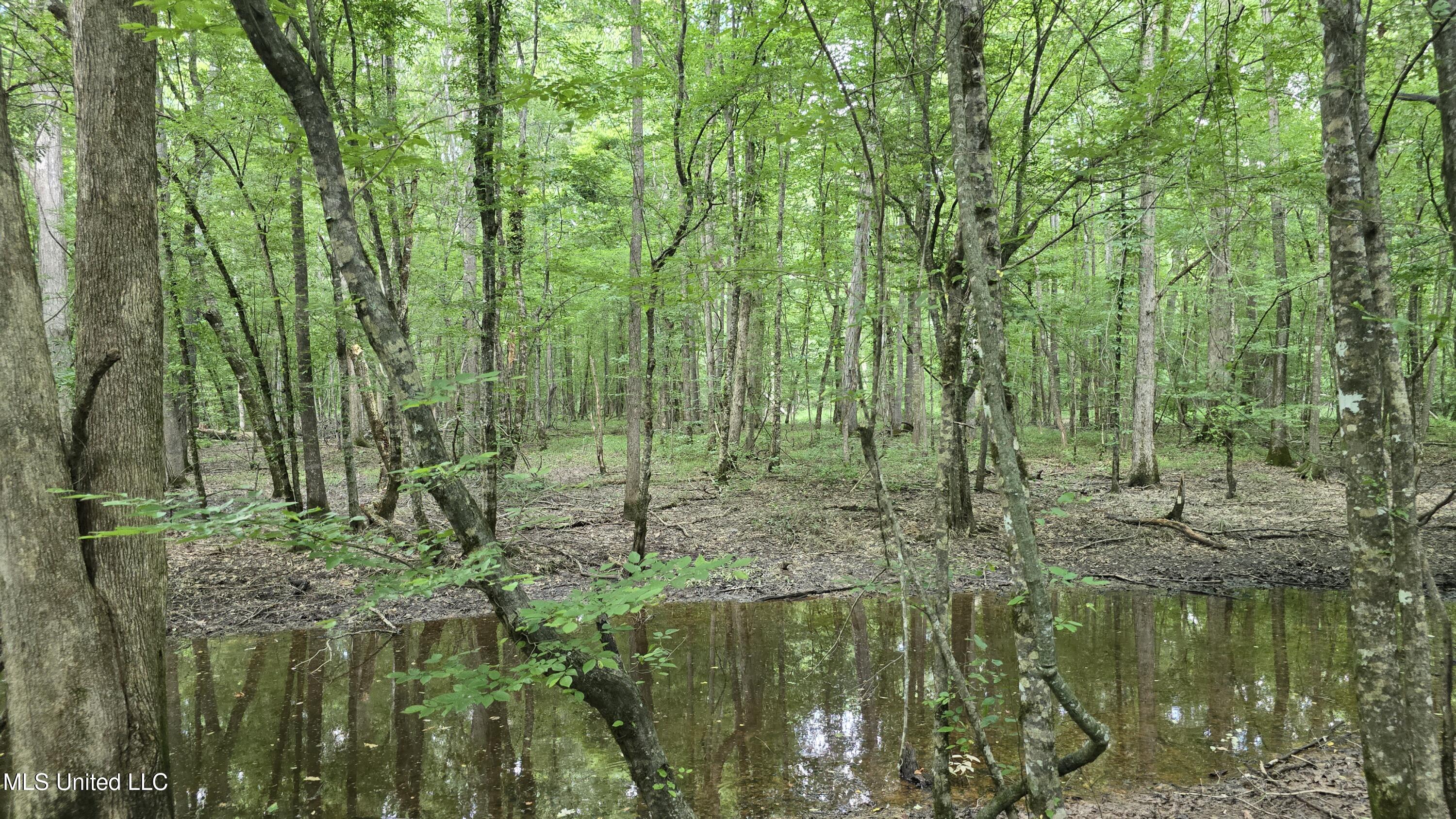 No No Ms-407 French Camp, MS 39745 - Photo 18 of 36 20250624_150013