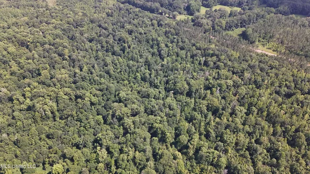 $199,000 | No No Ms-407, French Camp, MS 39745