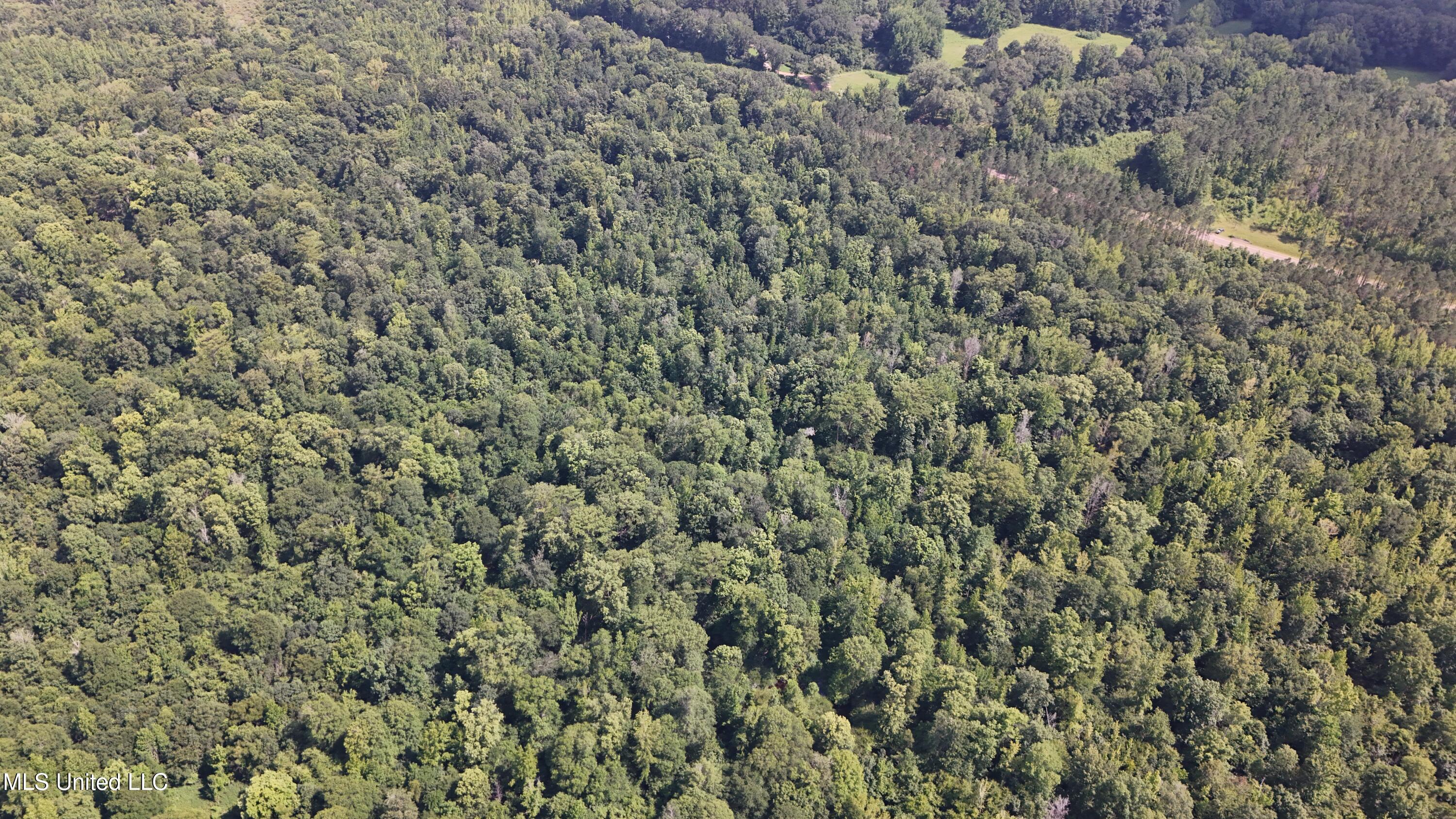 No No Ms-407 French Camp, MS 39745 - Photo 19 of 36 DJI_20250624160213_0785_D