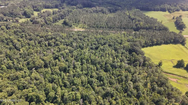 $199,000 | No No Ms-407, French Camp, MS 39745