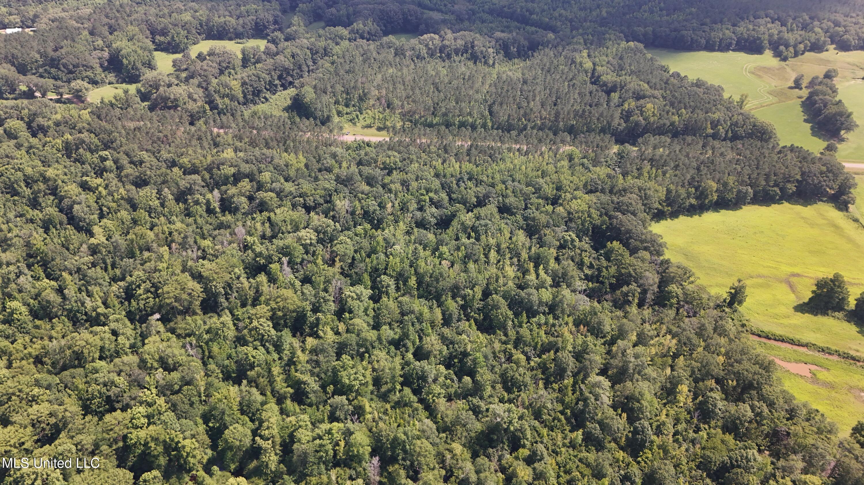 No No Ms-407 French Camp, MS 39745 - Photo 20 of 36 DJI_20250624160219_0786_D