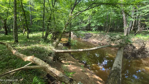 $199,000 | No No Ms-407, French Camp, MS 39745