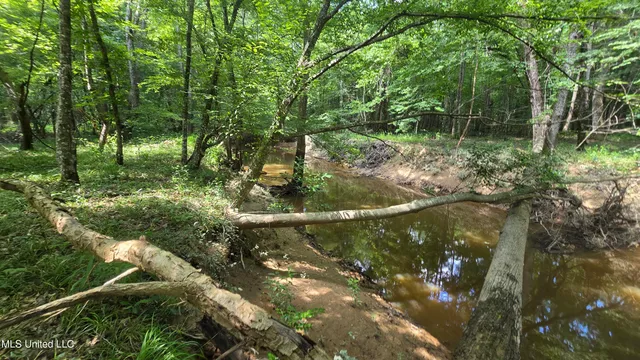 $199,000 | No No Ms-407, French Camp, MS 39745