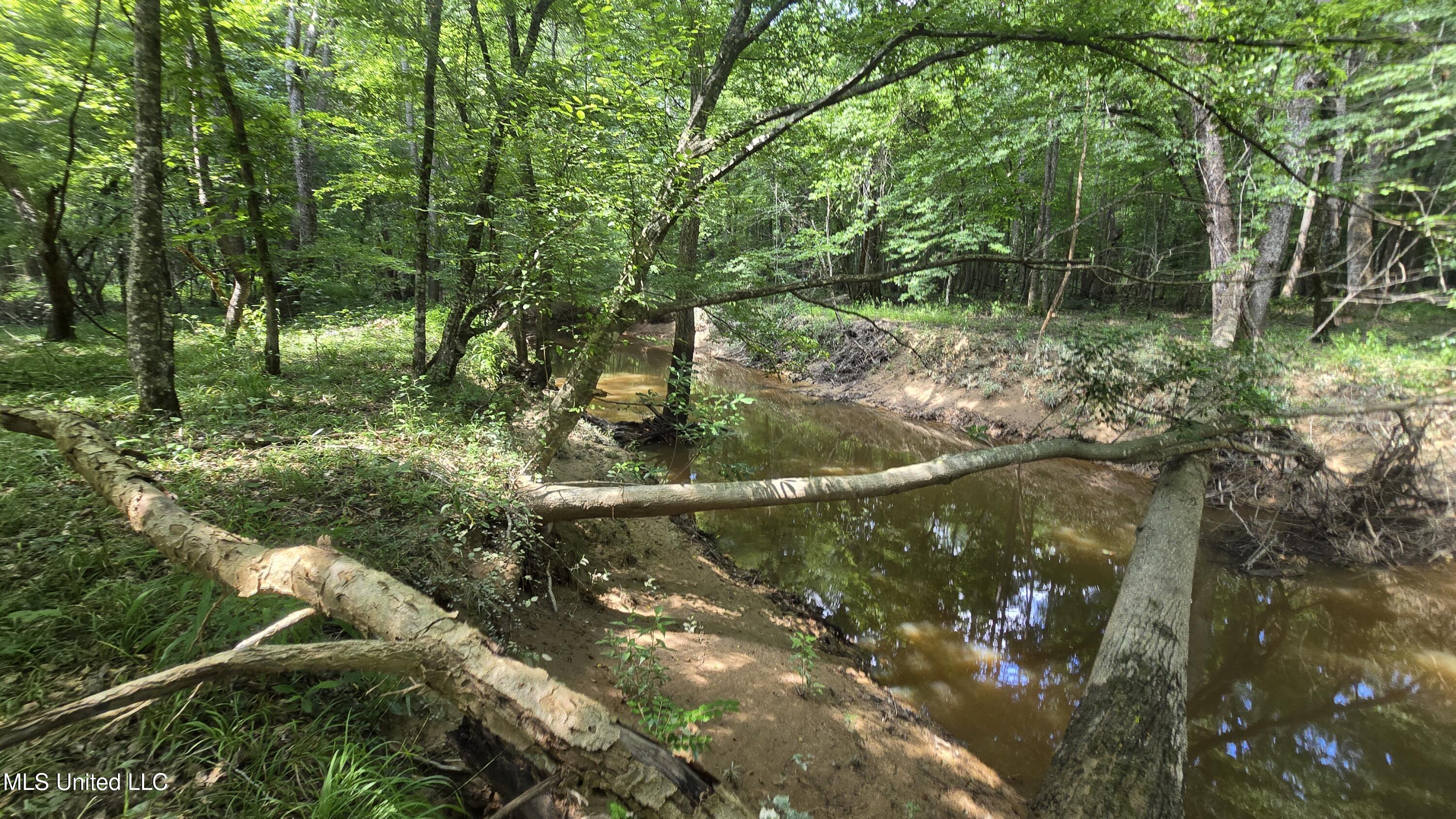 No No Ms-407 French Camp, MS 39745 - Photo 2 of 36 20250624_145506