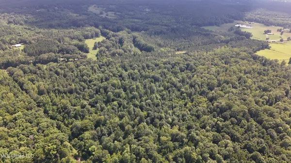 $199,000 | No No Ms-407, French Camp, MS 39745