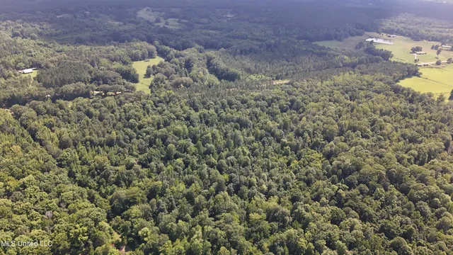 $199,000 | No No Ms-407, French Camp, MS 39745