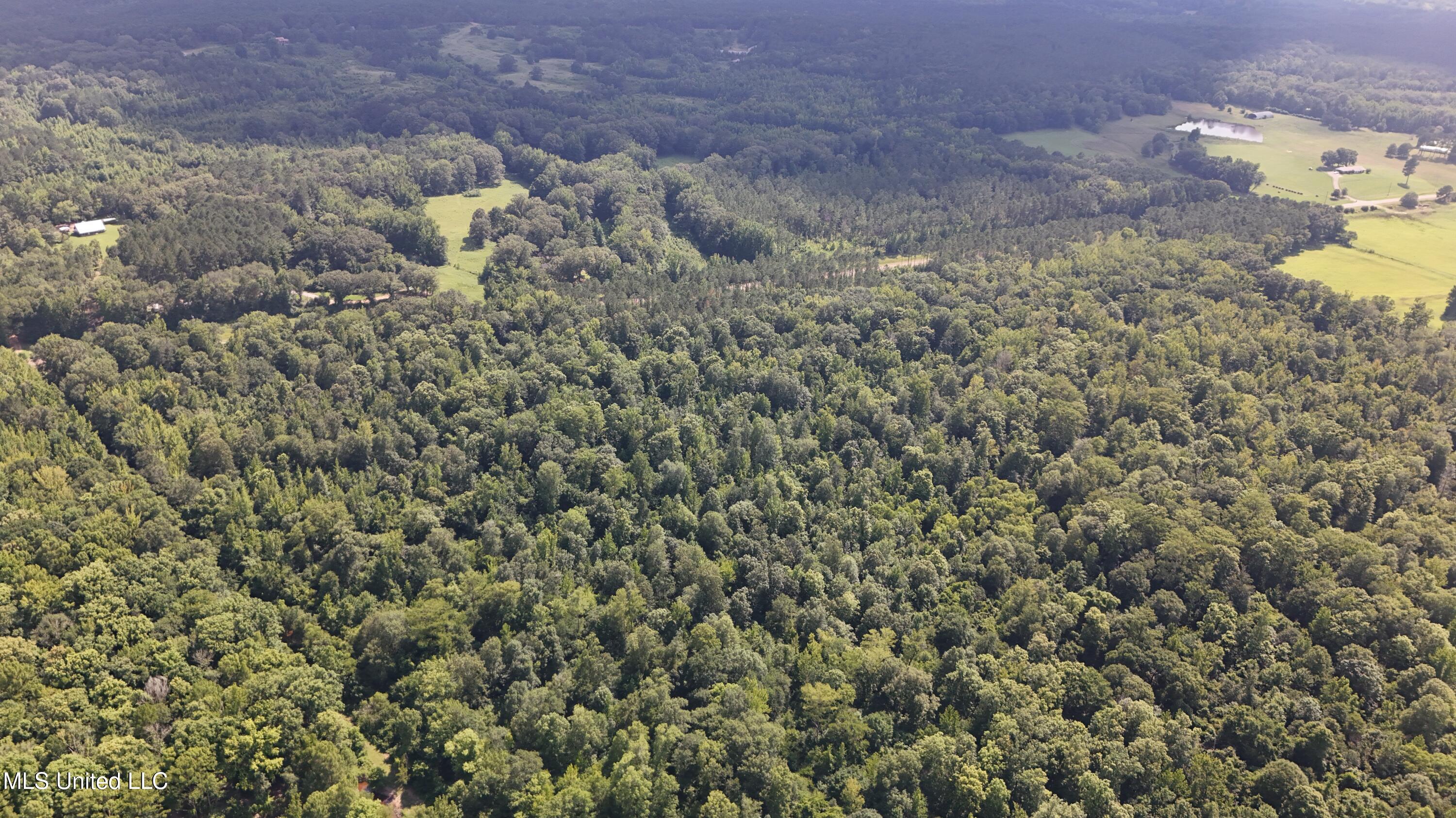 No No Ms-407 French Camp, MS 39745 - Photo 22 of 36 DJI_20250624160329_0788_D