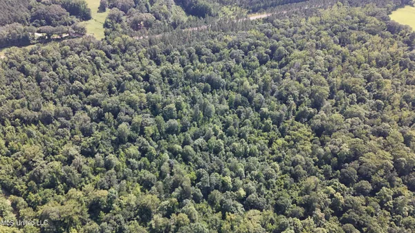 $199,000 | No No Ms-407, French Camp, MS 39745