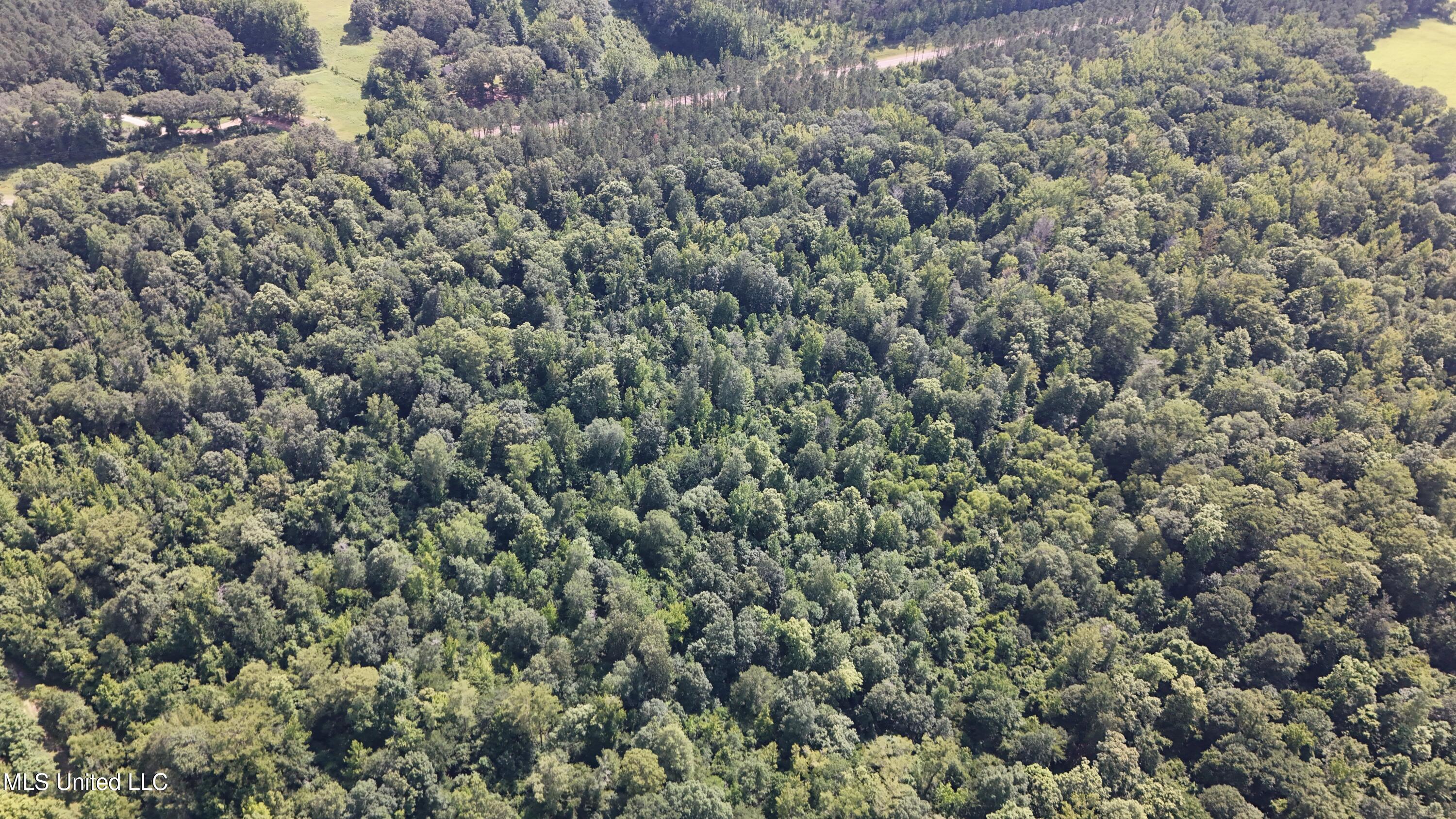 No No Ms-407 French Camp, MS 39745 - Photo 23 of 36 DJI_20250624160343_0789_D