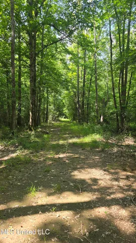 $199,000 | No No Ms-407, French Camp, MS 39745