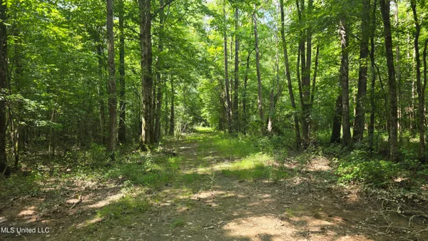 $199,000 | No No Ms-407, French Camp, MS 39745