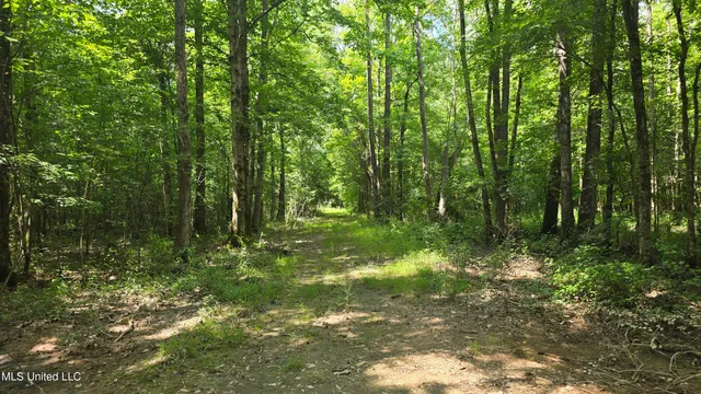 $199,000 | No No Ms-407, French Camp, MS 39745