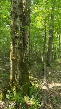 $199,000 | No No Ms-407, French Camp, MS 39745