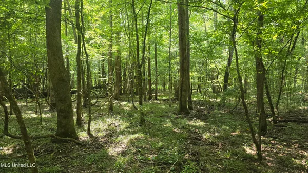 $199,000 | No No Ms-407, French Camp, MS 39745