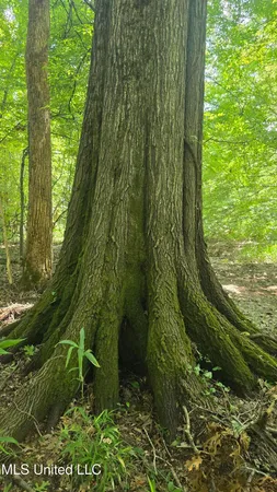 $199,000 | No No Ms-407, French Camp, MS 39745