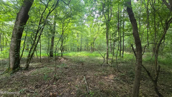 $199,000 | No No Ms-407, French Camp, MS 39745