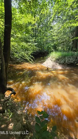 $199,000 | No No Ms-407, French Camp, MS 39745