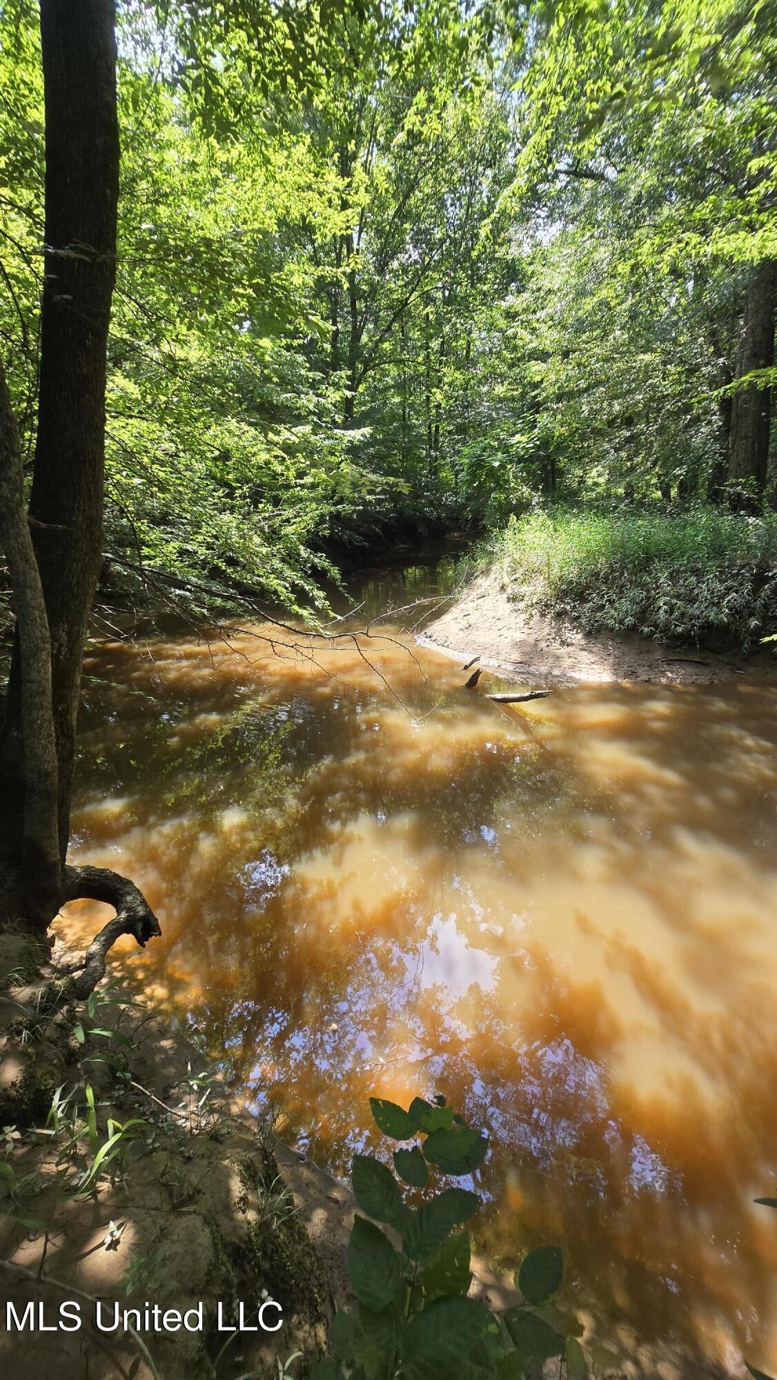 No No Ms-407 French Camp, MS 39745 - Photo 31 of 36 20250624_145203