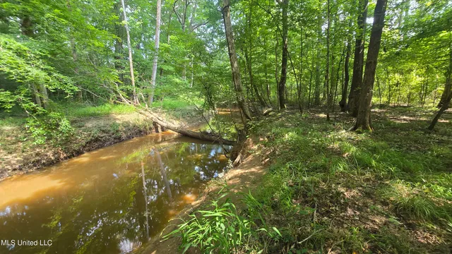 $199,000 | No No Ms-407, French Camp, MS 39745