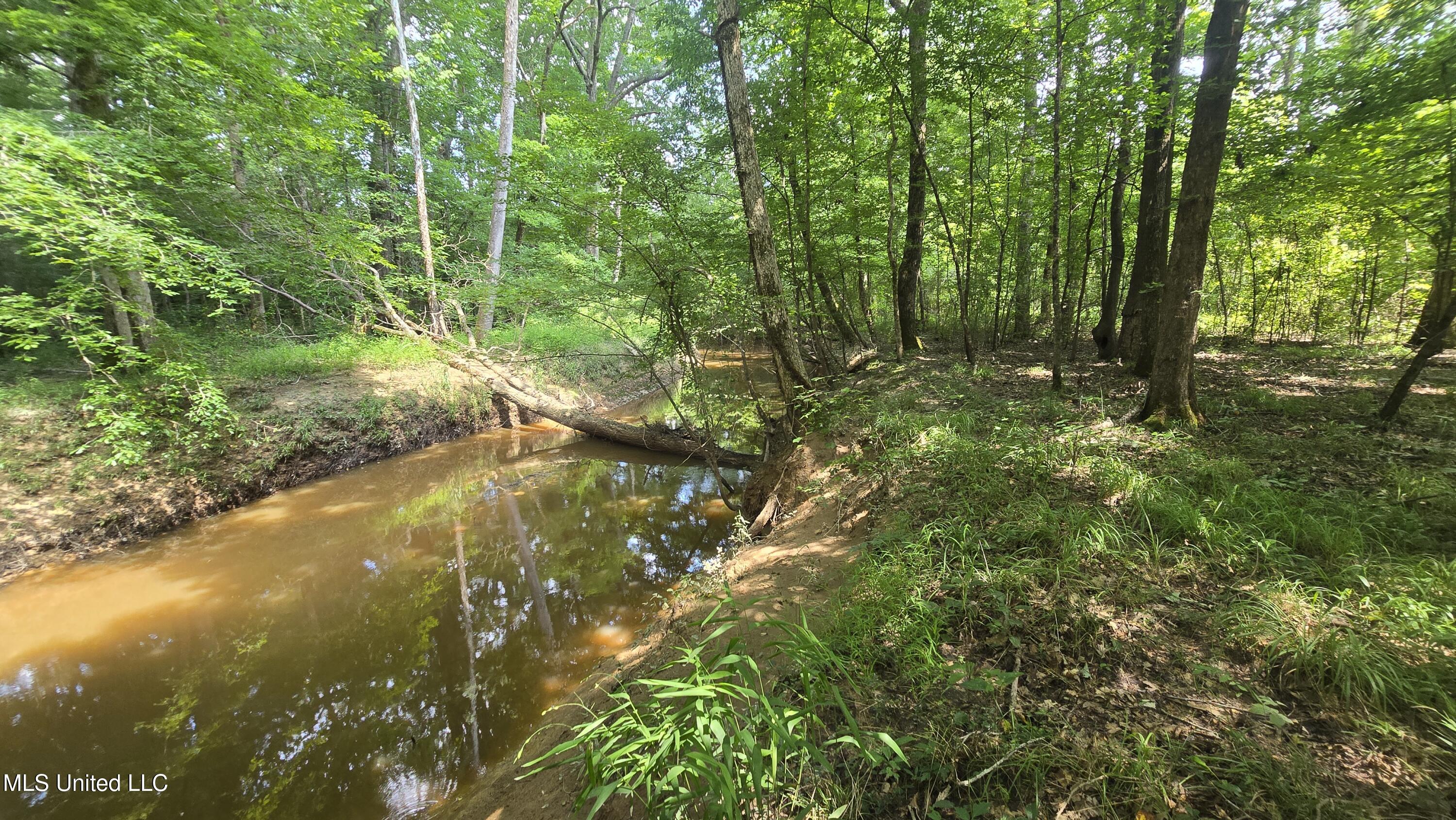 No No Ms-407 French Camp, MS 39745 - Photo 33 of 36 20250624_145504