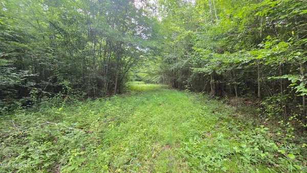 $199,000 | No No Ms-407, French Camp, MS 39745