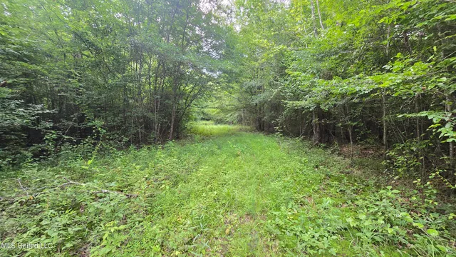 $199,000 | No No Ms-407, French Camp, MS 39745