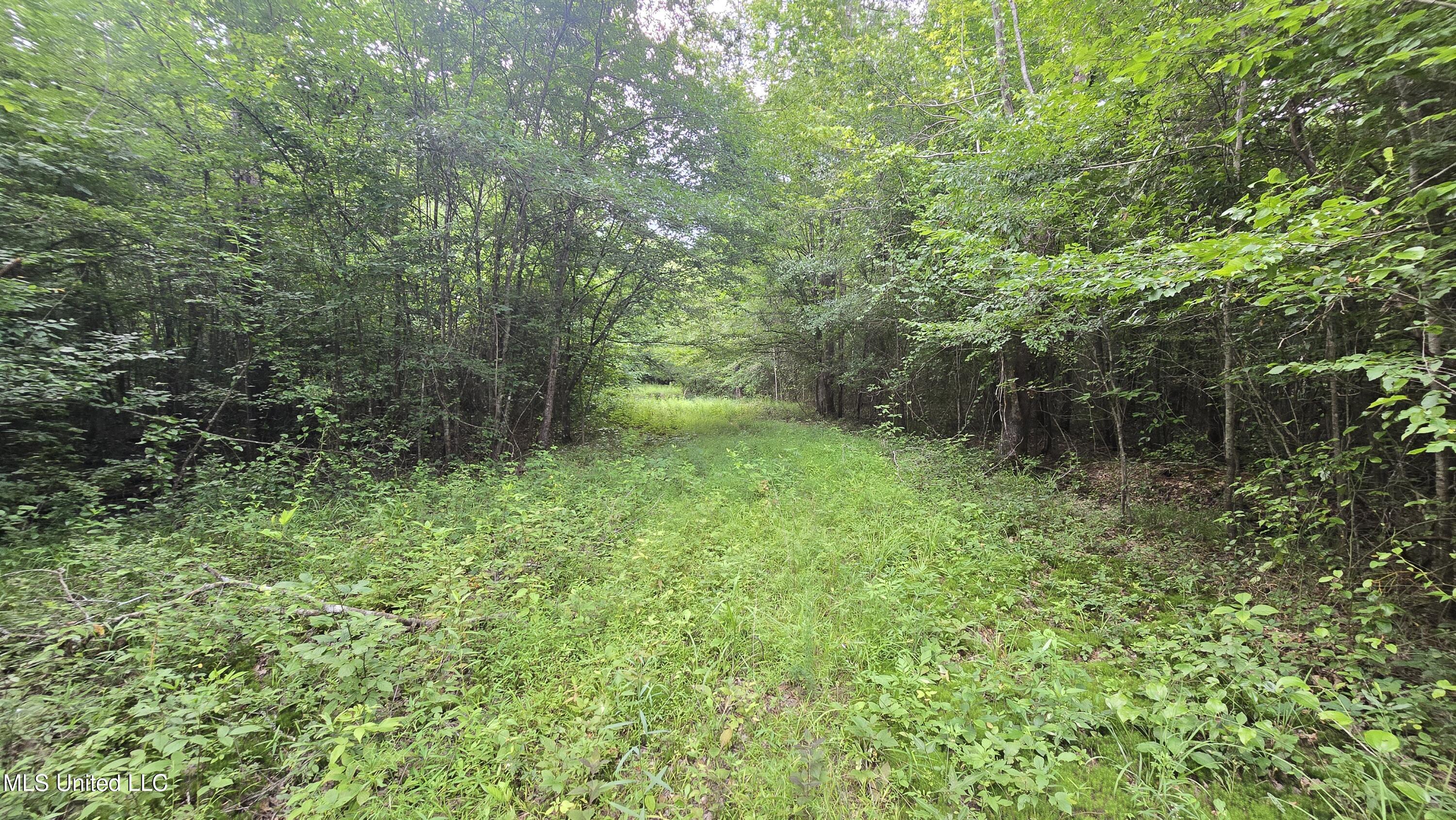 No No Ms-407 French Camp, MS 39745 - Photo 34 of 36 20250624_145858