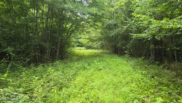 $199,000 | No No Ms-407, French Camp, MS 39745