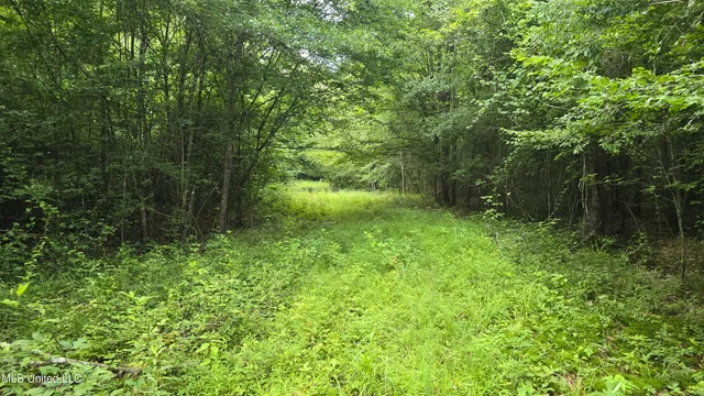 $199,000 | No No Ms-407, French Camp, MS 39745