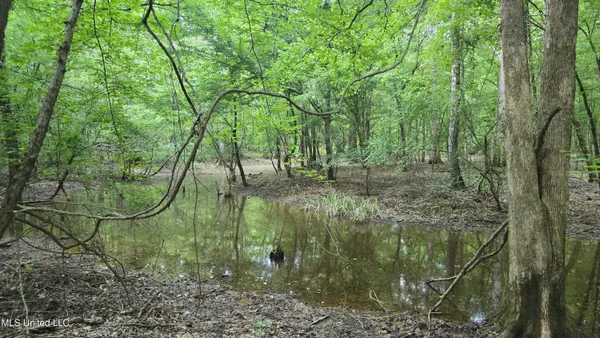 $199,000 | No No Ms-407, French Camp, MS 39745