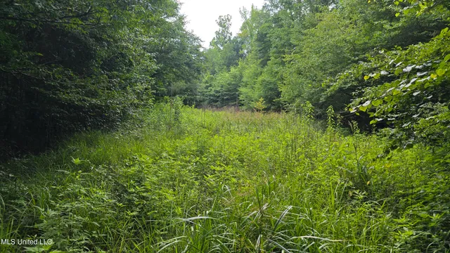 $199,000 | No No Ms-407, French Camp, MS 39745