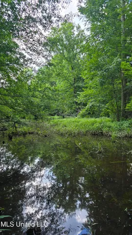 $199,000 | No No Ms-407, French Camp, MS 39745