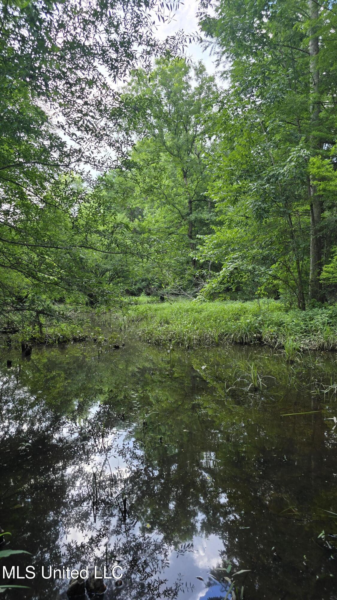 No No Ms-407 French Camp, MS 39745 - Photo 8 of 36 20250624_150754