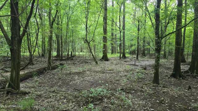 $199,000 | No No Ms-407, French Camp, MS 39745