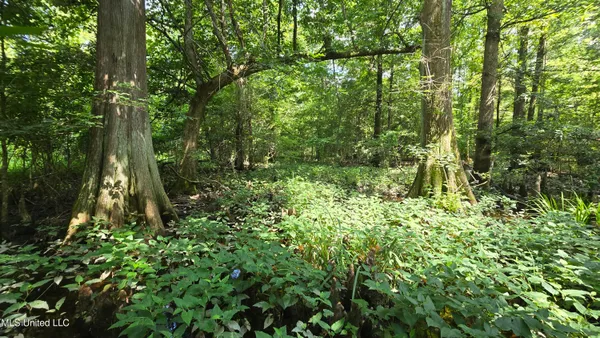 $199,000 | No No Ms-407, French Camp, MS 39745