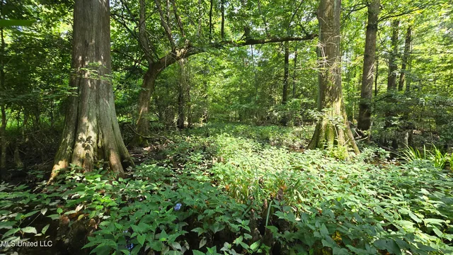 $199,000 | No No Ms-407, French Camp, MS 39745