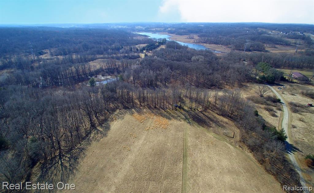 Vl Rattalee Lake Road Davisburg, MI 48350 - Photo 3 of 14