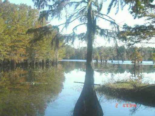 606 Claude's Road Colfax, LA 71417 - Photo 7 of 7 Gallery Image 7