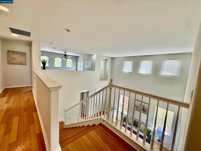 a view of a trees in a yard