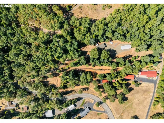a view of a yard with plants