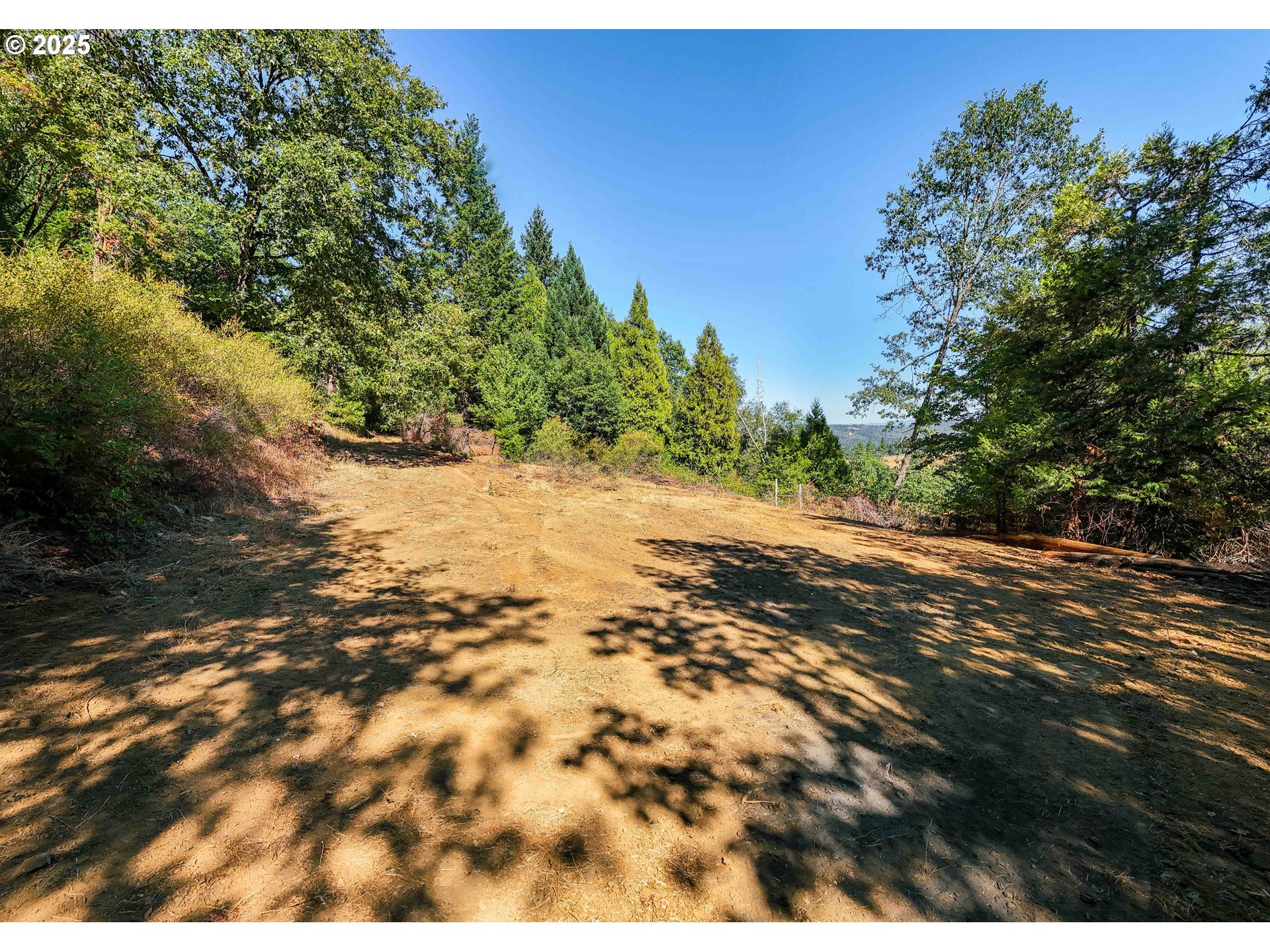 281 Callahan Road Roseburg, OR 97471 - Photo 35 of 39 a view of a yard with a tree