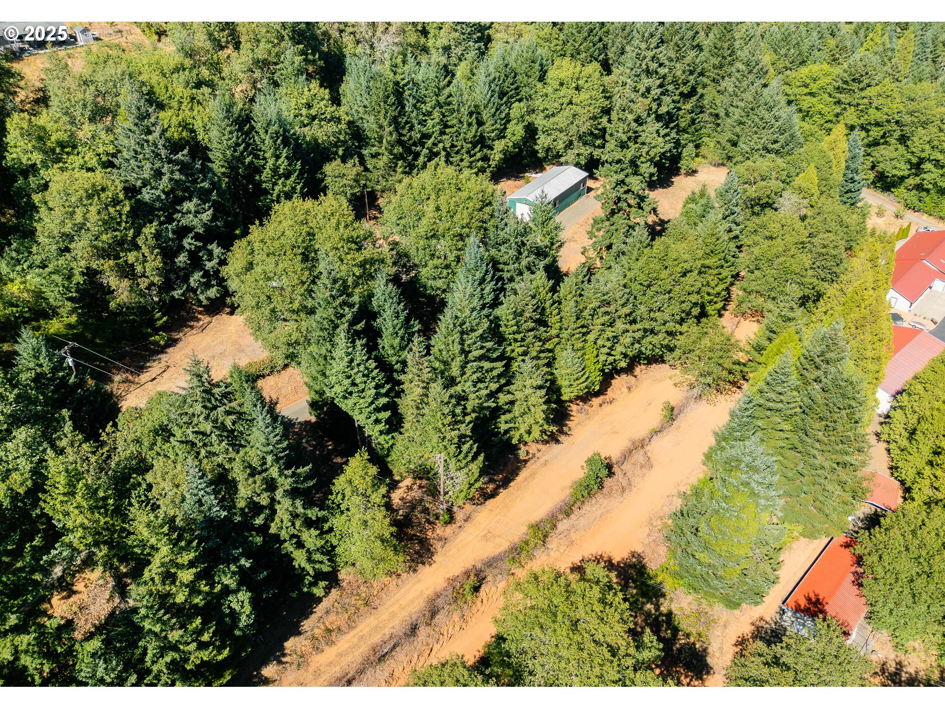 281 Callahan Road Roseburg, OR 97471 - Photo 5 of 39 a view of a yard with plants and large trees