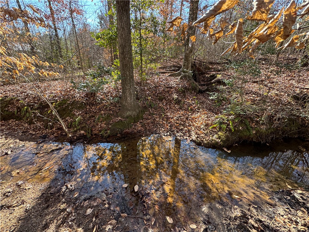 2030 Donaldson Road Anderson, SC 29621 - Photo 28 of 31